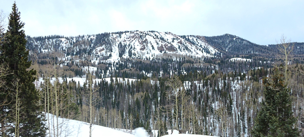 The Rio Chamafrom the Head Waters