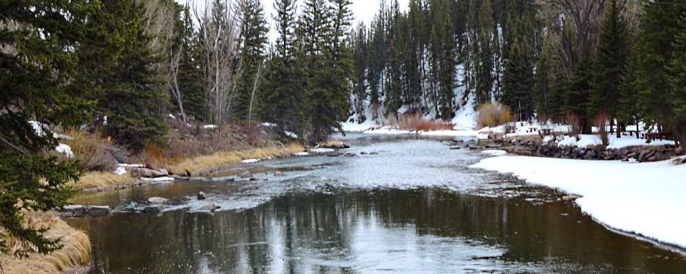 The Conejos RiverDownriver from Conejos Canyon
