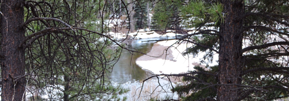 Snow Drifts onThe Conejos River