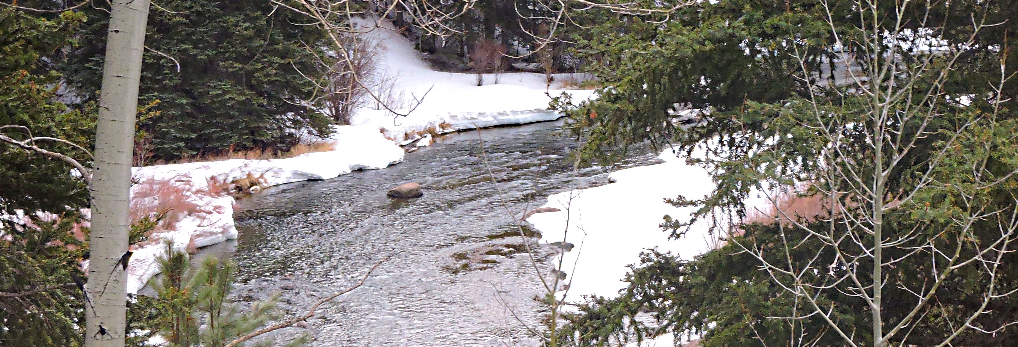 Snow Drifts onThe Conejos River