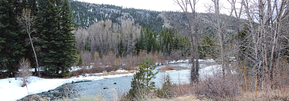 Snow Drifts onThe Conejos River