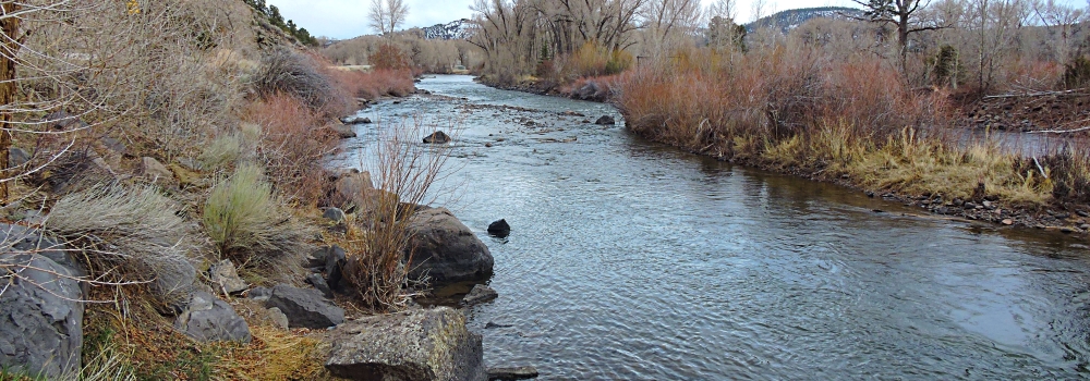 The Conejos RiverBelow 7000 feet Elevation