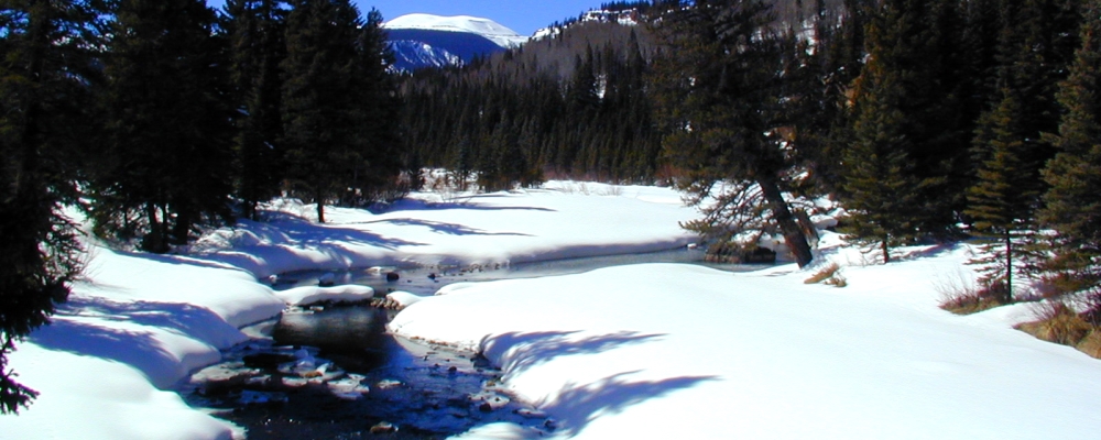 The Rio Grande RiverNear to the Source