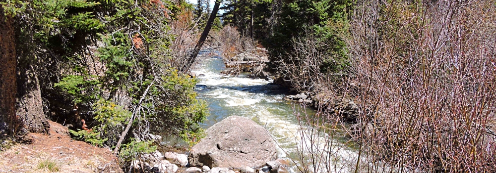The South Fork Rio Grande Riverbelow Wolf Creek Pass