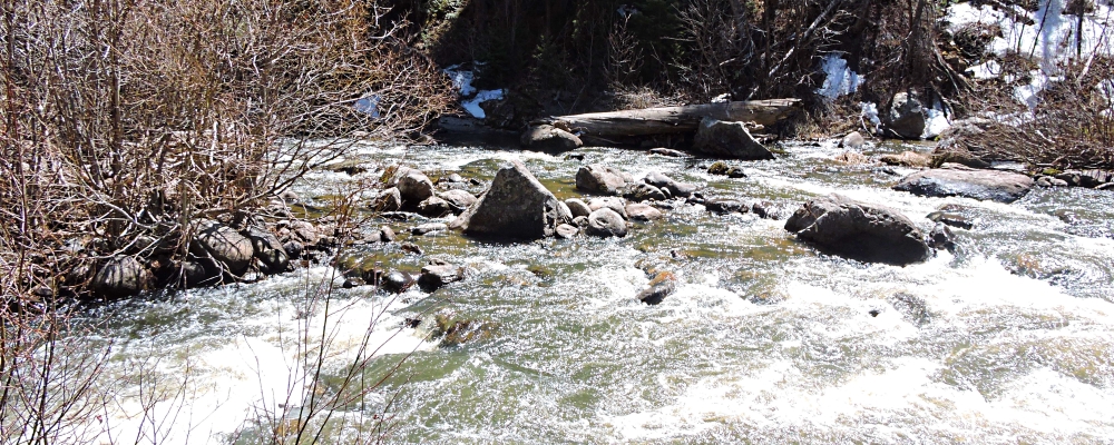The South Fork Rio Grande Riverbelow Wolf Creek Pass