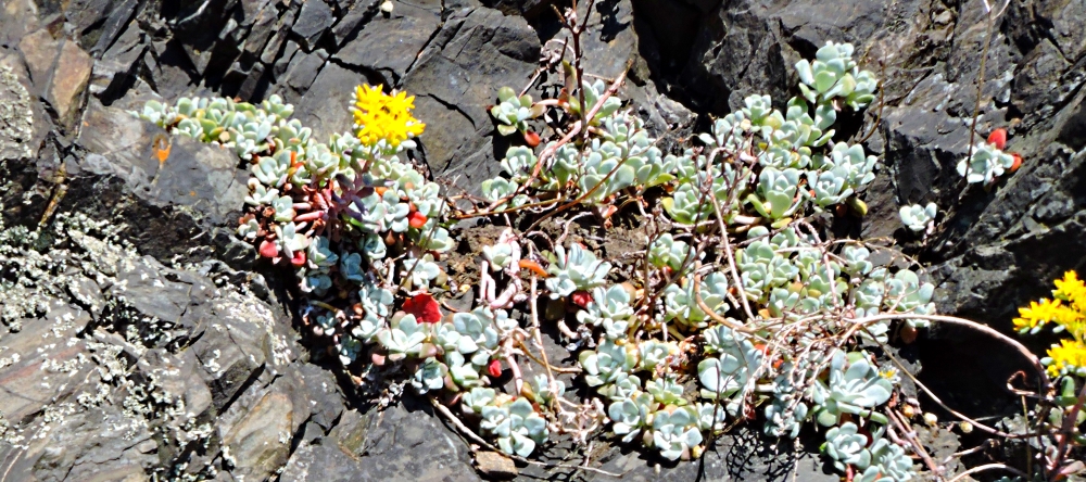 The Earth&prime;s SeashoresThe Deception Pass