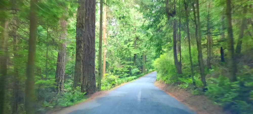 The Earth&prime;s SeashoresThe Deception Pass