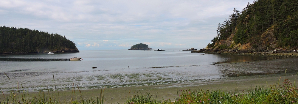 Puget Sound SeashoresFidalgo Island