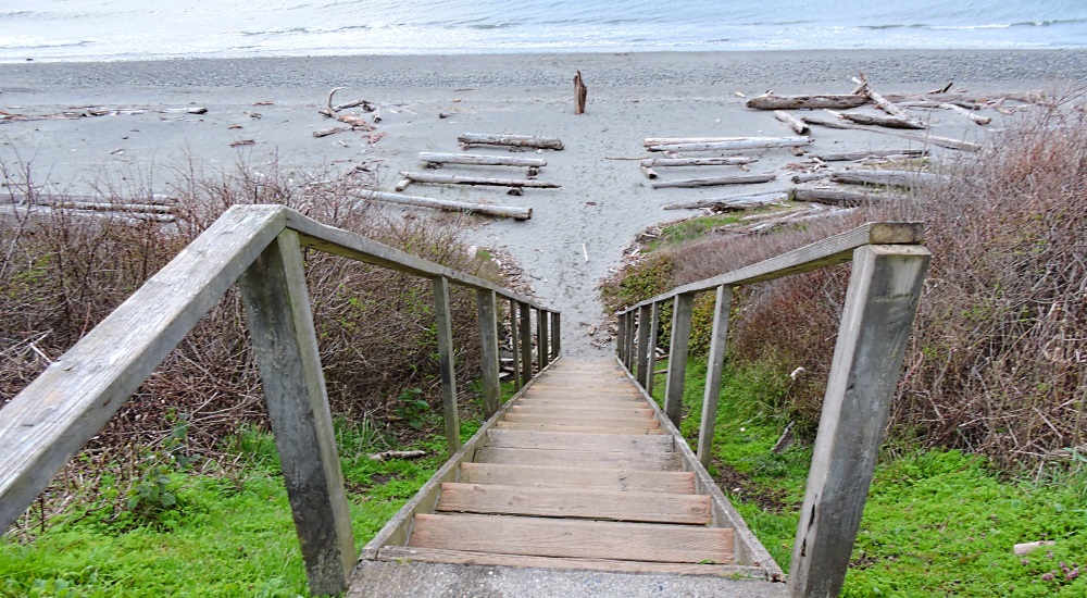 The Earth&prime;s SeashoresThe Whidbey Island