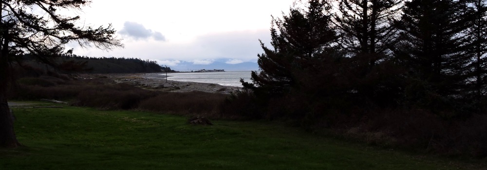 The Earth&prime;s SeashoresThe Whidbey Island