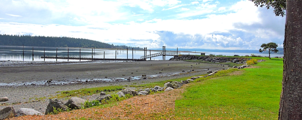 The Earth&prime;s SeashoresThe Whidbey Island