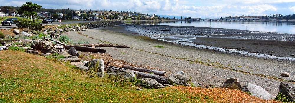 The Earth&prime;s SeashoresThe Whidbey Island