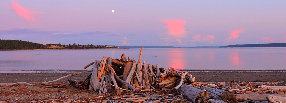 The Earth&prime;s SeashoresThe Whidbey Island