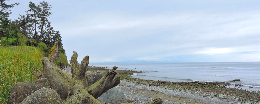 Puget Sound SeashoresWhidbey Island