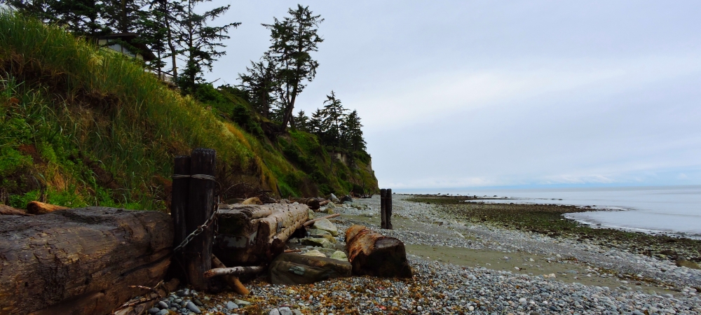Puget Sound SeashoresWhidbey Island