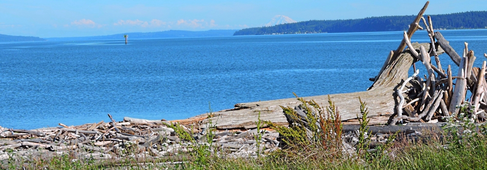 Puget Sound SeashoresWhidbey Island