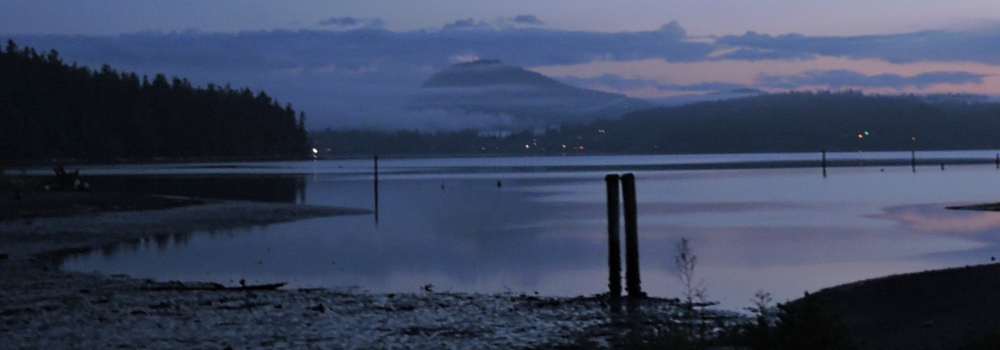 Puget Sound SeashoresWhidbey Island