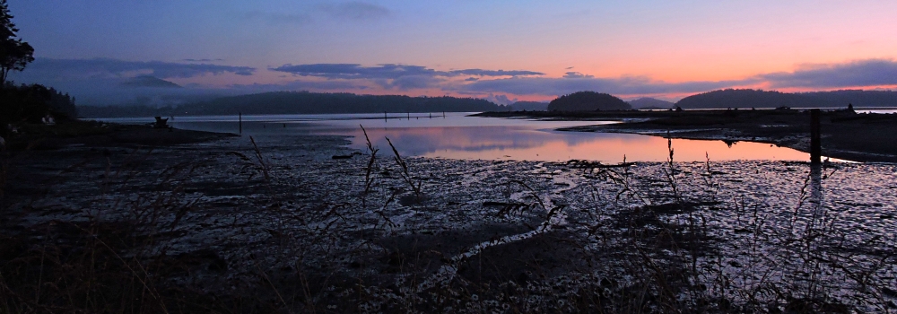 Puget Sound SeashoresWhidbey Island