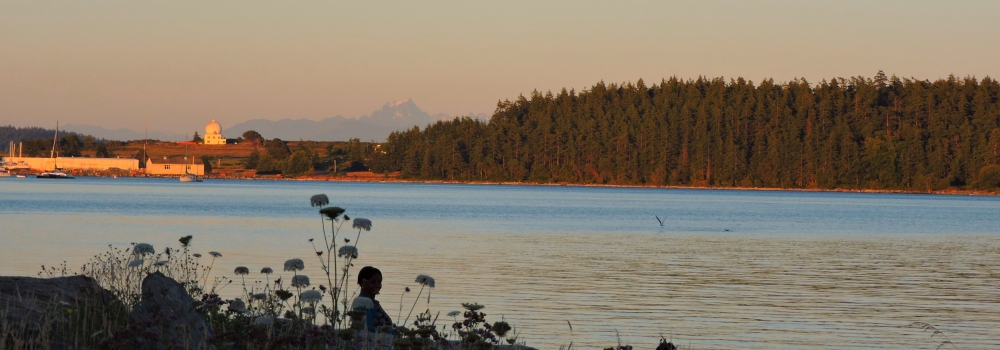 Puget Sound SeashoresWhidbey Island