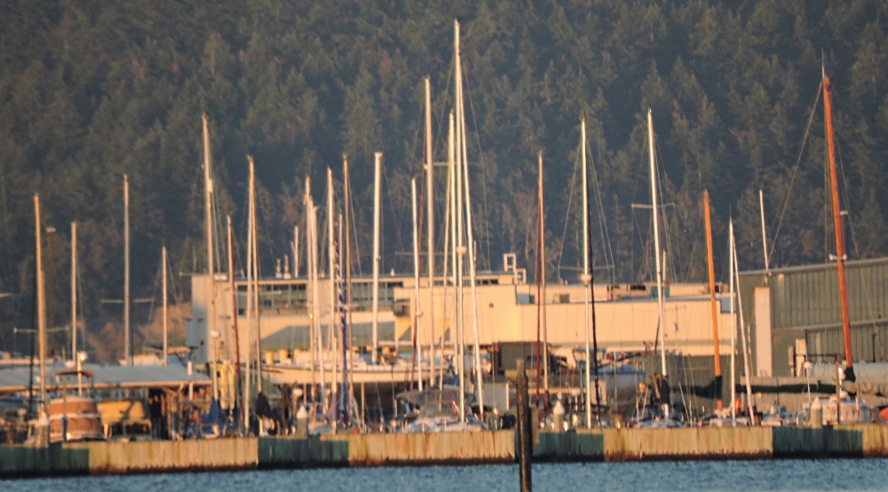 Puget Sound SeashoresWhidbey Island