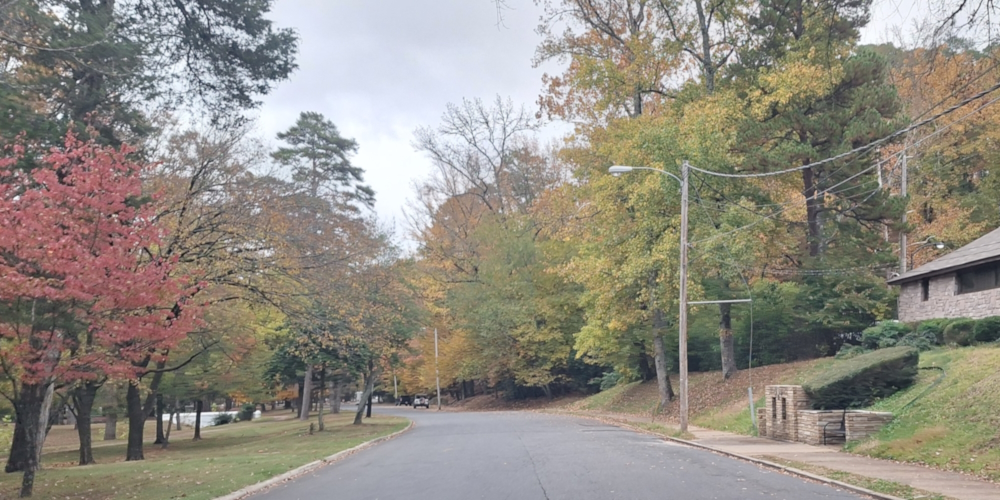 The Earth&prime;s SpringsThe Whittington Spring