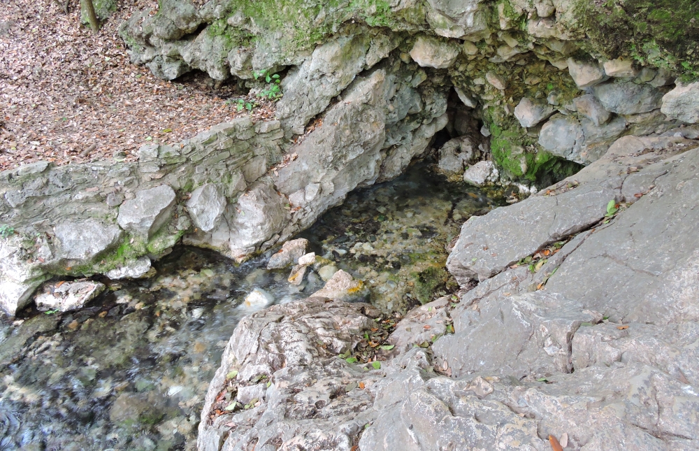 The Earth&prime;s SpringsThe Comal Spring