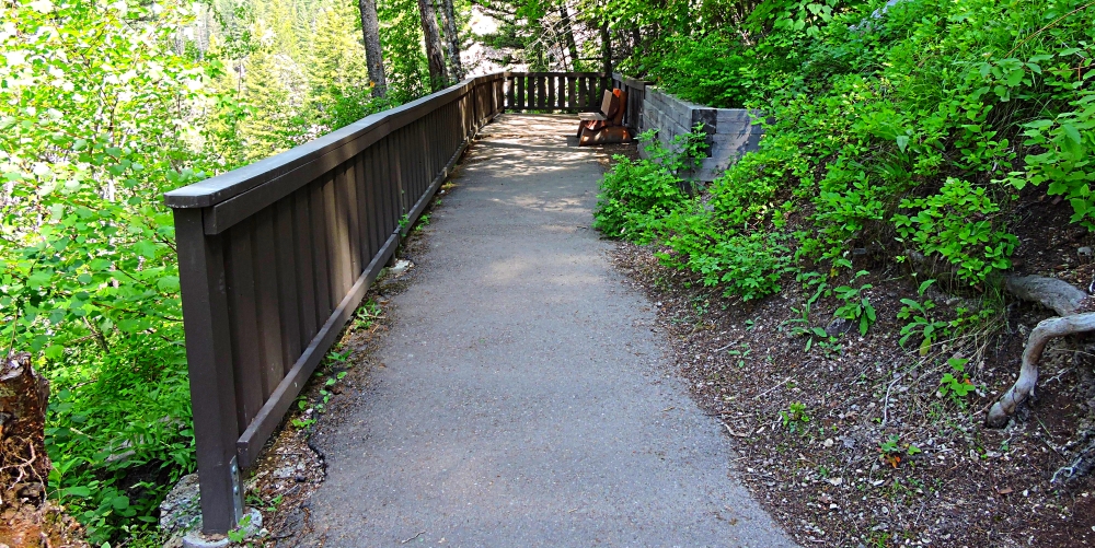 Mountain Goatsin Glacier NP