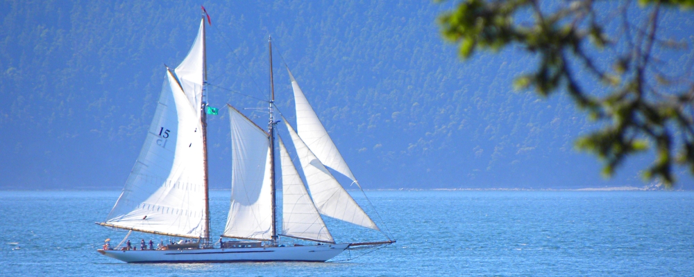 Boats of WashingtonSchooner in Rosario Straight