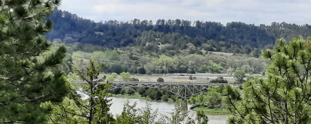 The Arch BridgesThe Bryan Bridge