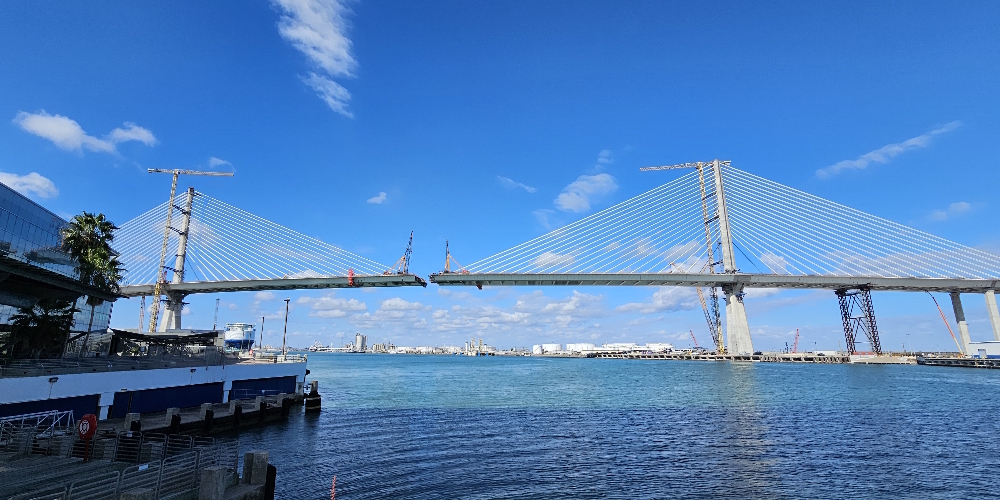 The Cable-stayed BridgesThe Harbor Bridge