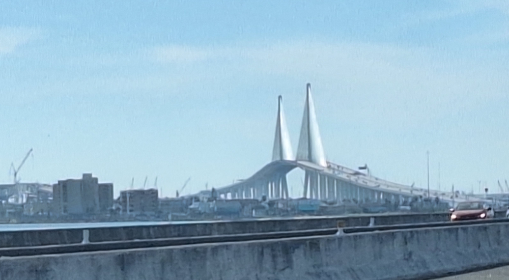 The Cable-stayed BridgesThe Harbor Bridge