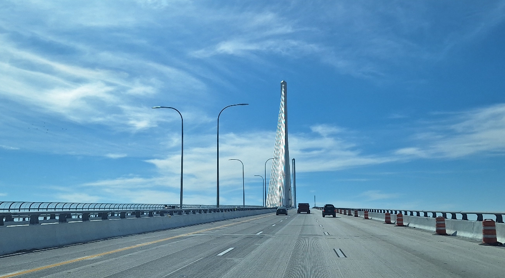 The Cable-stayed BridgesThe Harbor Bridge