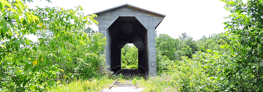 The Covered BridgesThe Fisher Train Bridge