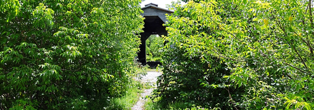 The Covered BridgesThe Fisher Train Bridge