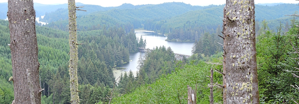 The Trestle BridgesThe Tahkenitch Bridge