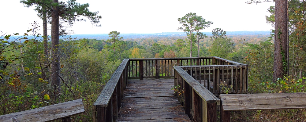 The TwosThe Neches Bluff Campground, Texas