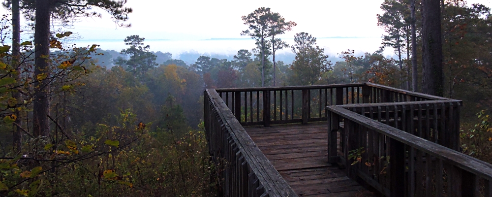 The TwosThe Neches Bluff Campground, Texas
