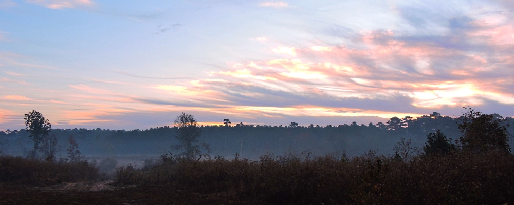 The TwosThe Neches Bluff Campground, Texas
