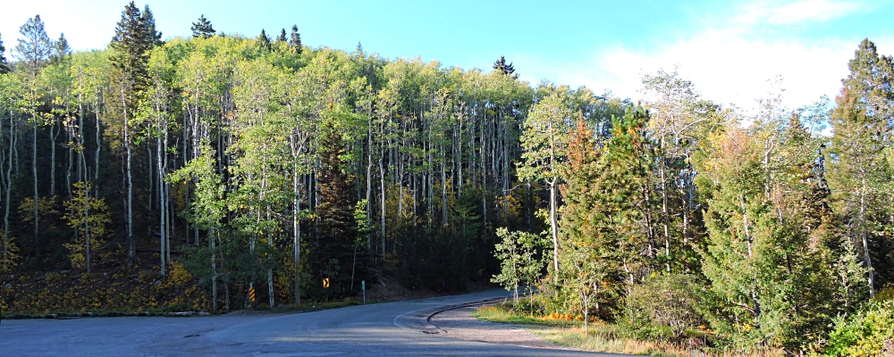 The ThreesThe Big Tesuque Campground