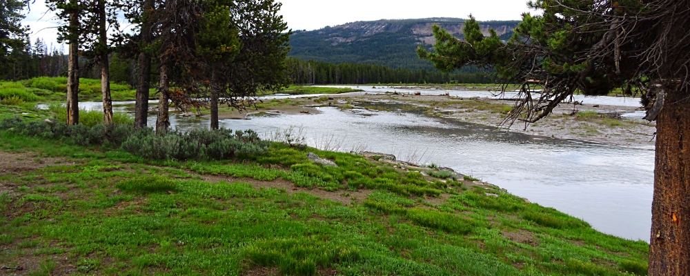 The ThreesThe Grassy Lake Road Campground
