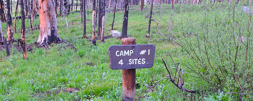 The ThreesThe Grassy Lake Road Campground