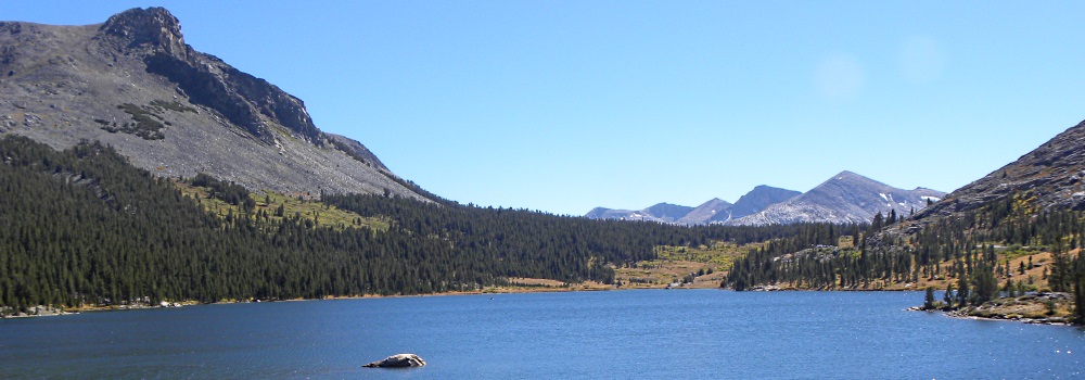 The FoursYosemite National Park Campground