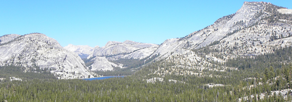 The FoursYosemite National Park Campground
