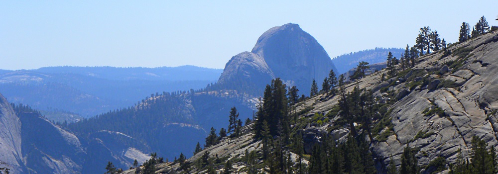 The FoursYosemite National Park Campground