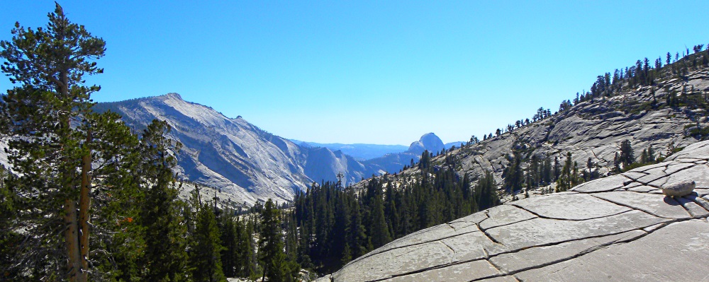The FoursYosemite National Park Campground