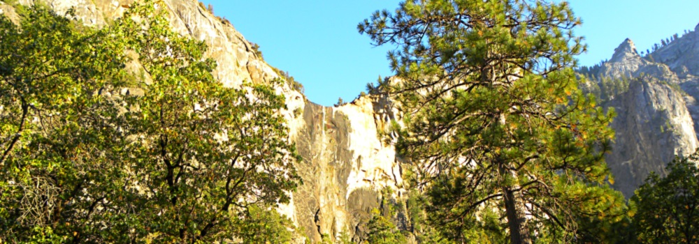 The FoursYosemite National Park Campground