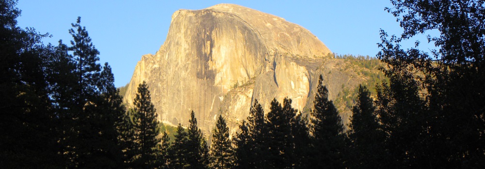 The FoursYosemite National Park Campground