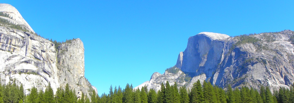 The FoursYosemite National Park Campground