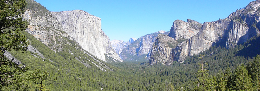 The FoursYosemite National Park Campground