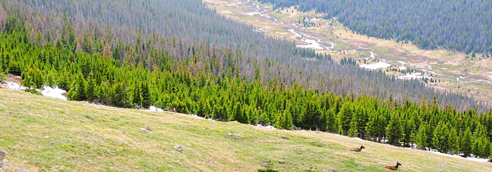 A Way&fnof;arers CampsitesTrail Ridge Road